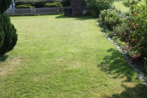 Bild: Rasenfläche im Garten